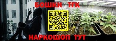 шишки Гусь-Хрустальный