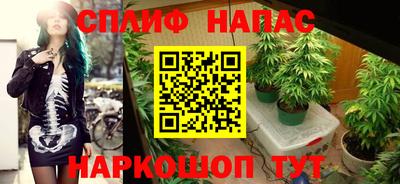шишки Гусь-Хрустальный