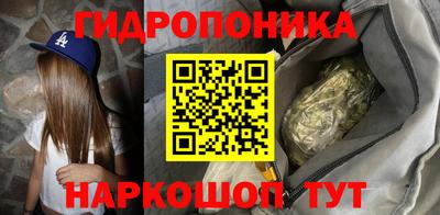 шишки Гусь-Хрустальный