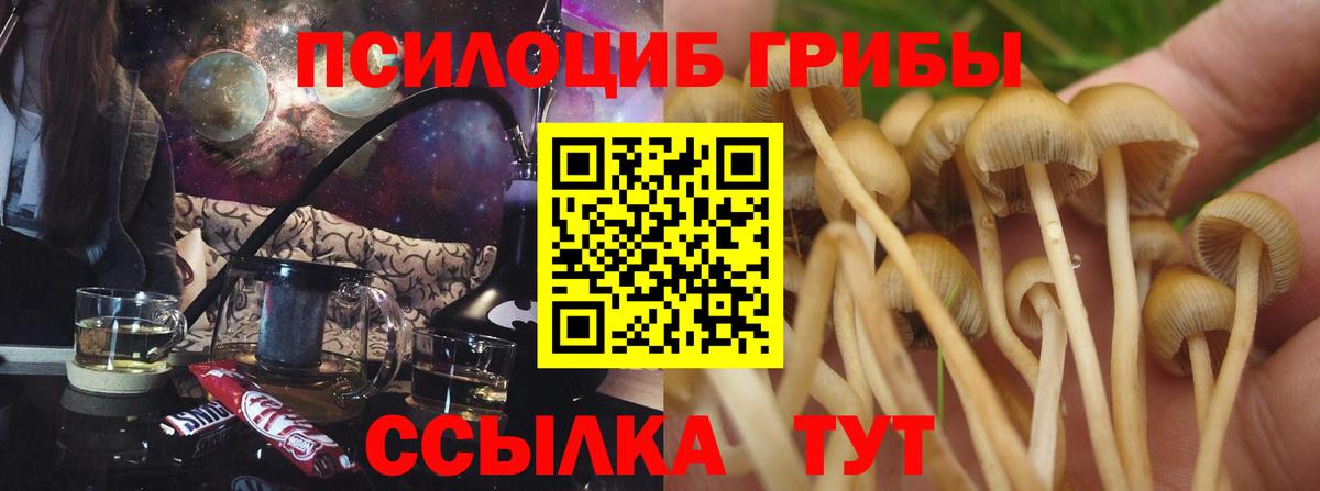 Мирный  Псилоцибиновые грибы прущие грибы  Вход с VPN  Галлюциногенные грибы Magic Shrooms 